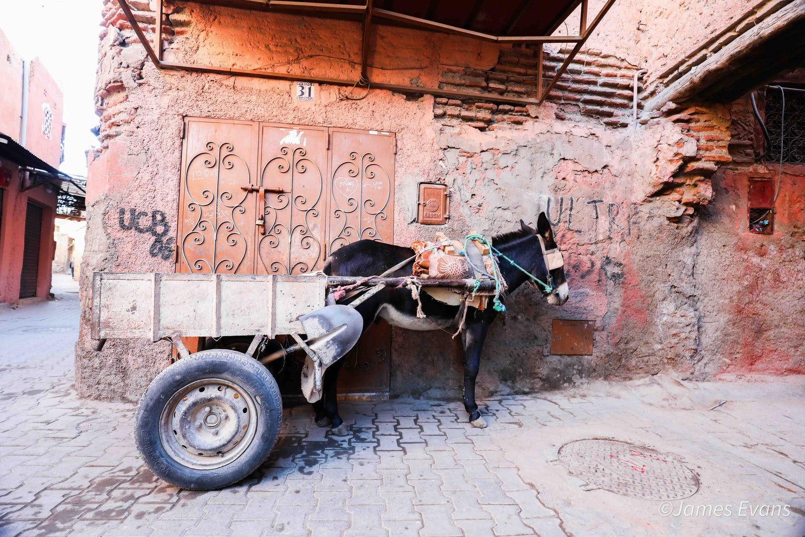 No Negotiations: Why I Traded My Routine for the Sahara
