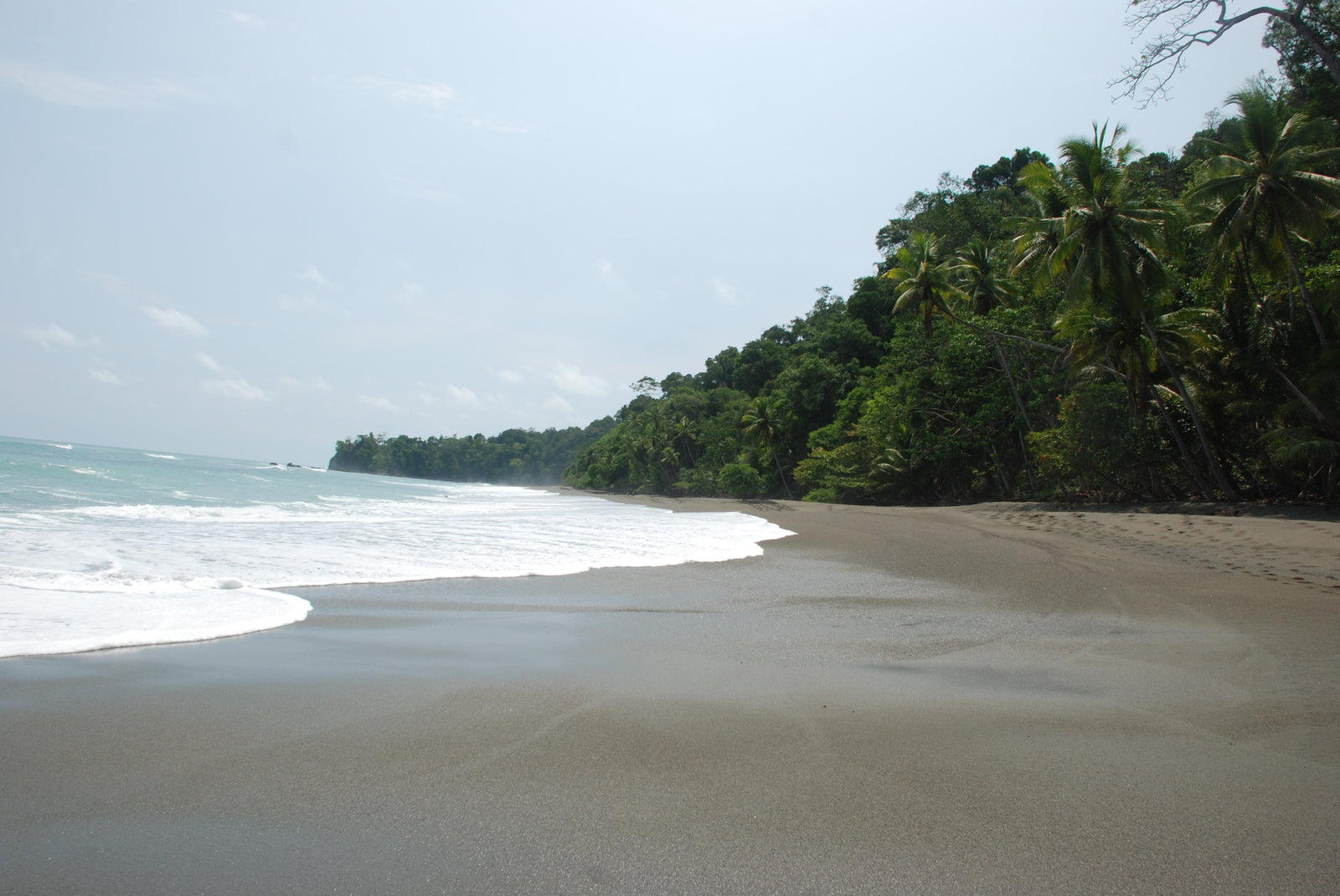 Corcovado: 3% of the World’s Biodiversity