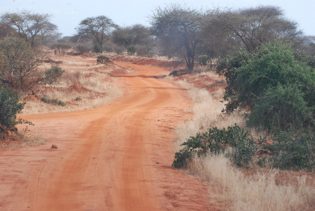 “This Is Not Possible.” My African Photo Even the Guide Couldn’t Explain