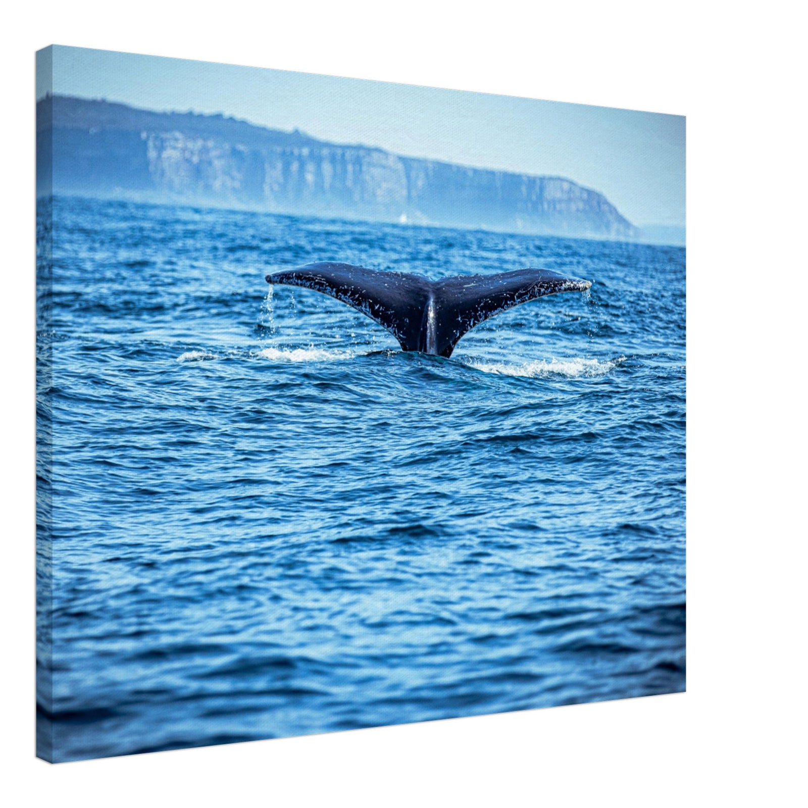 Whale tail silhouette against bright ocean water