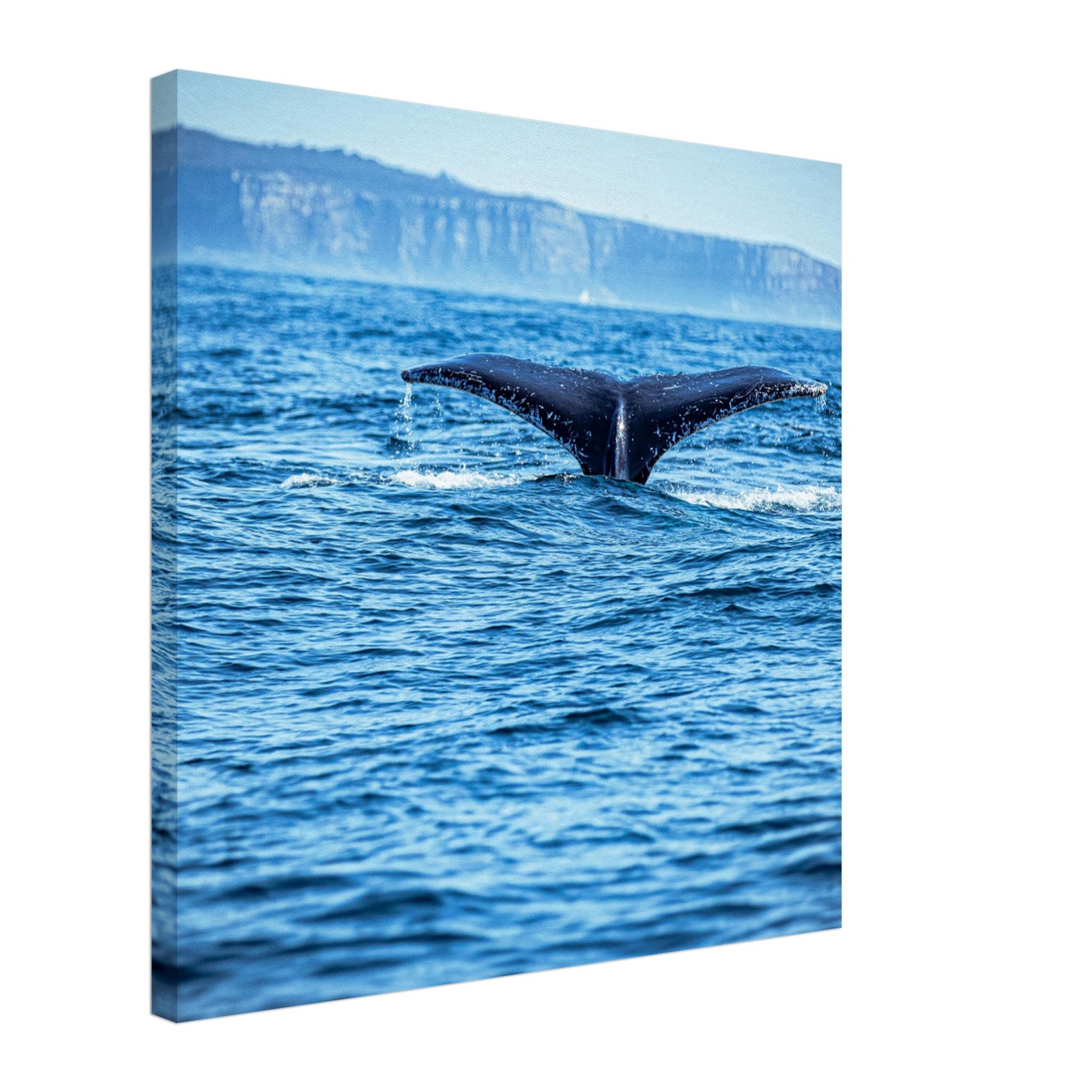 Whale fluke framed against blue waves and sky