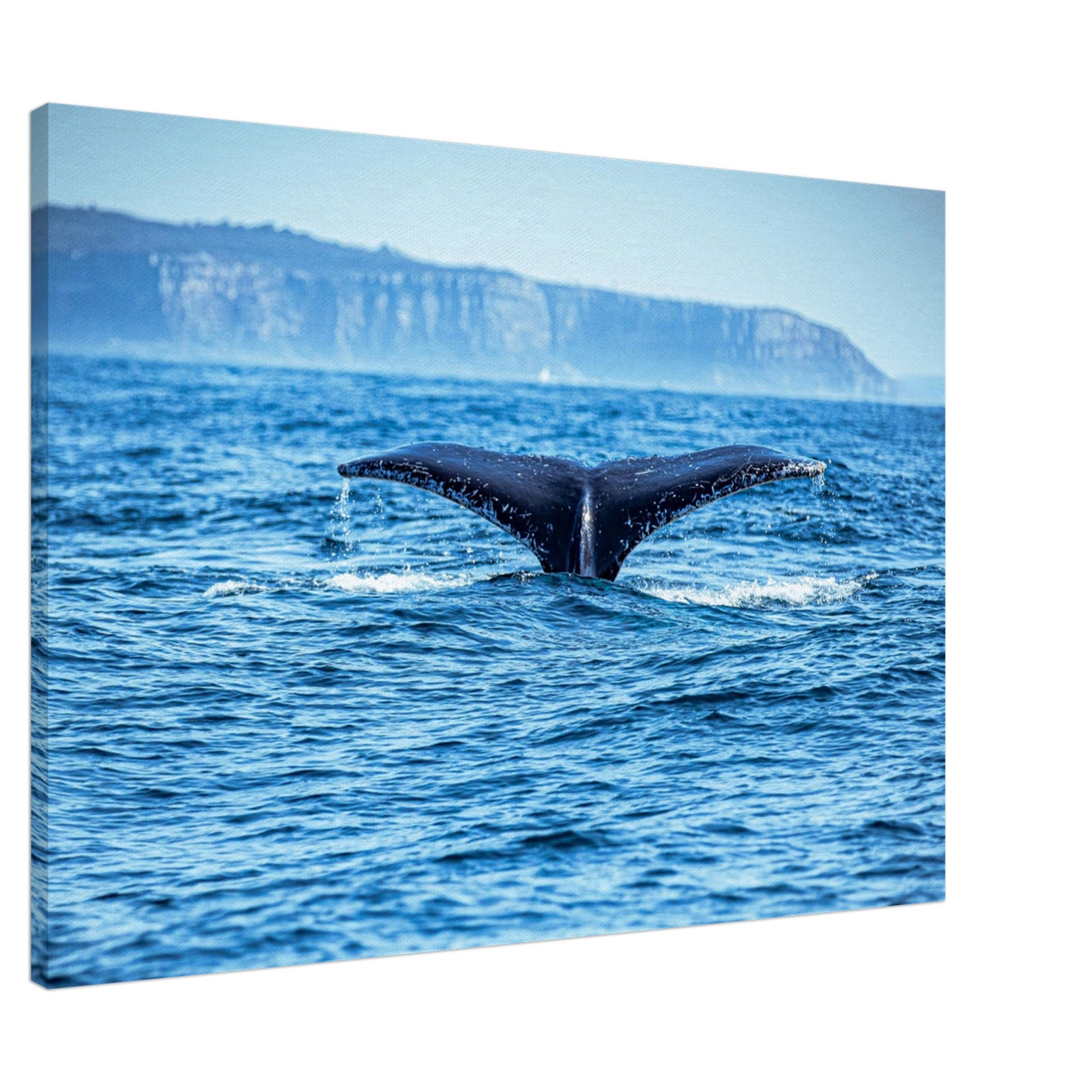 Whale tail disappearing into the depths of the sea