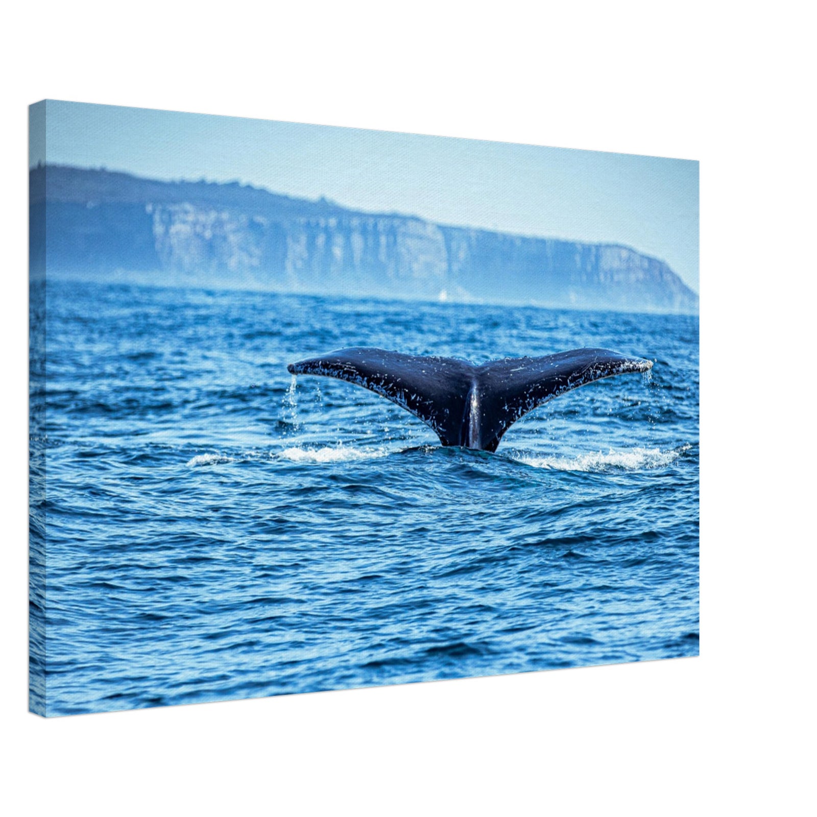 Majestic whale tail above calm sea waters