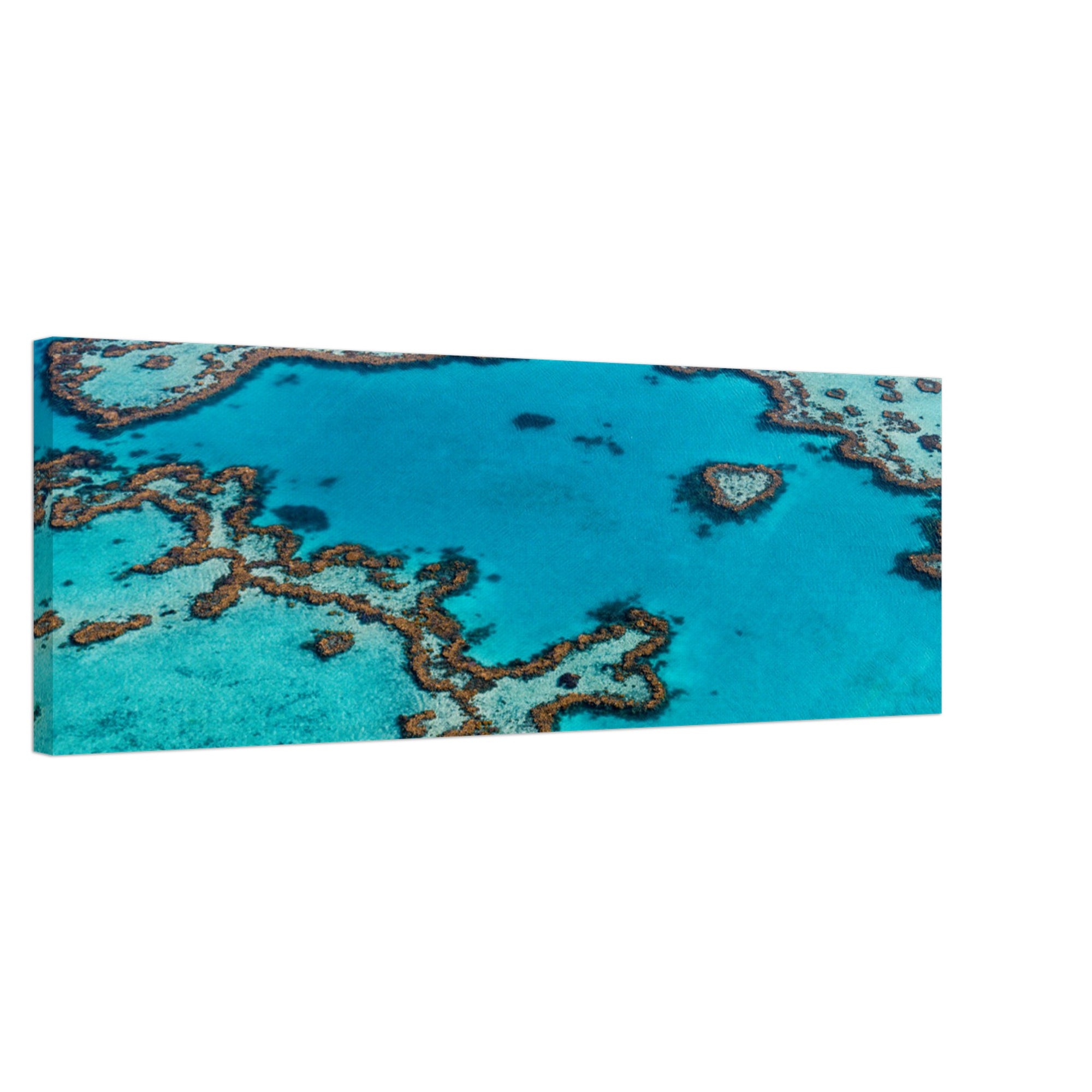 Tropical reef landscape viewed from a high angle.

