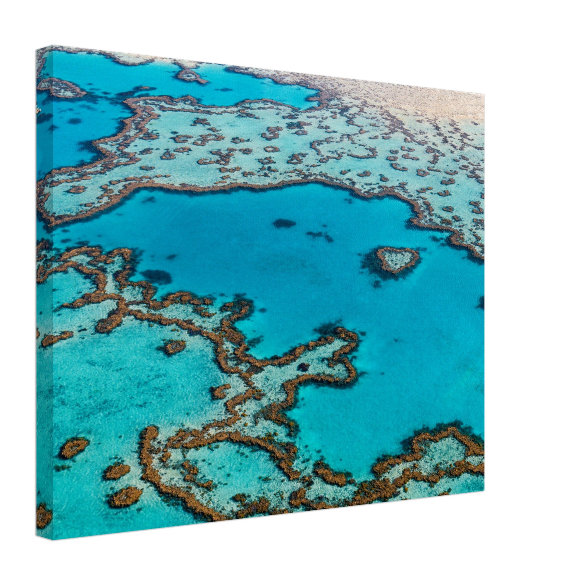 Aerial photo of Heart Reef surrounded by bright turquoise sea.

