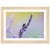 Close-up nature photo of a lavender bloom and busy bee.

