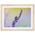 Bumblebee on lavender blossom with blurred bokeh background.

