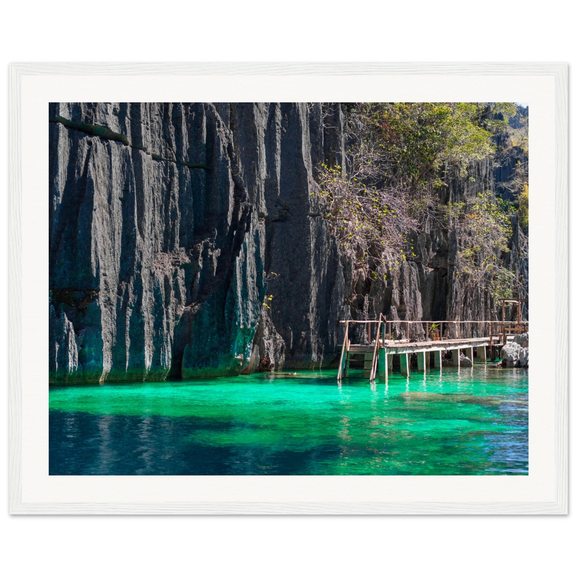 Framed vertical coastal image with walkway and lush cliffside growth.

