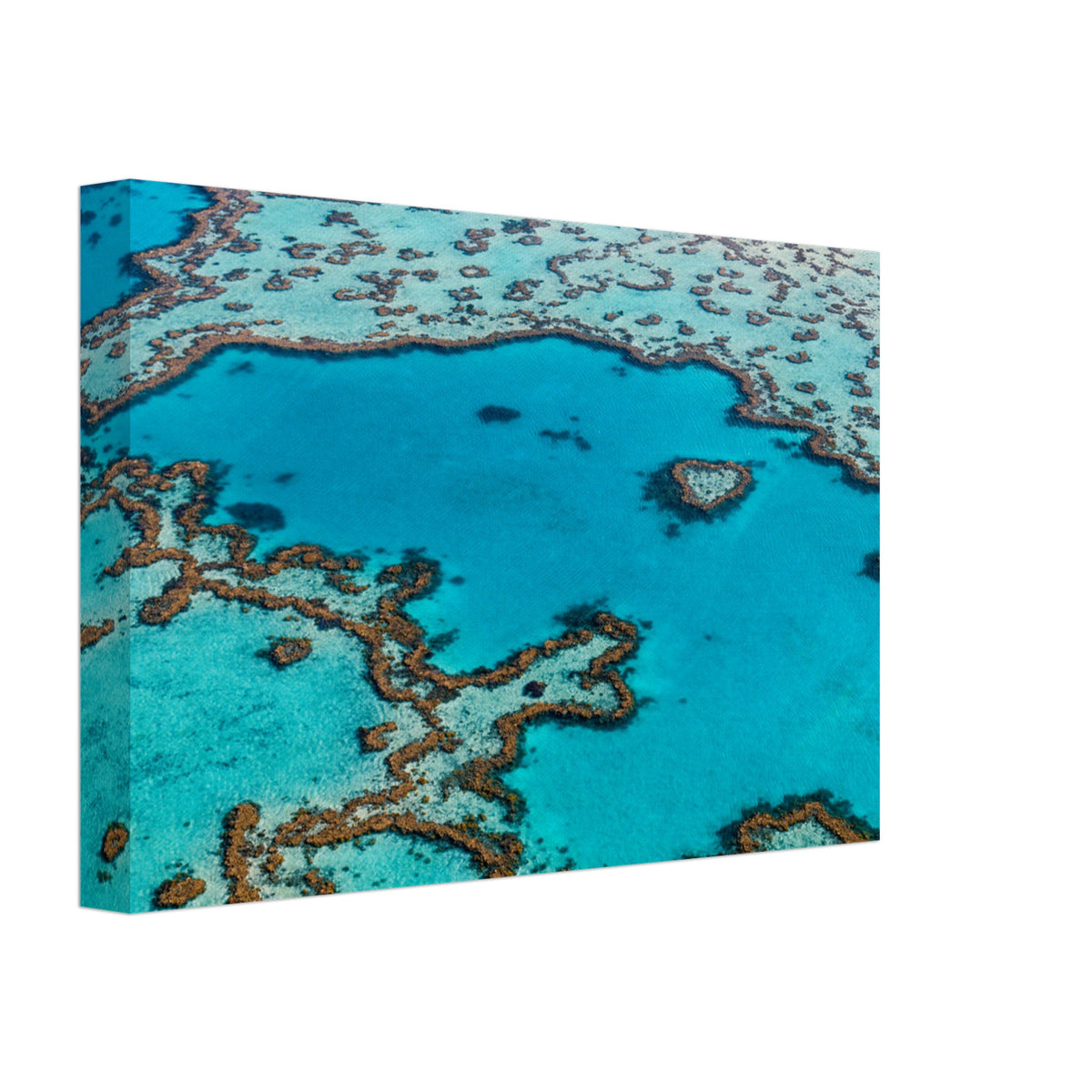 Natural coral formations beneath transparent ocean water.

