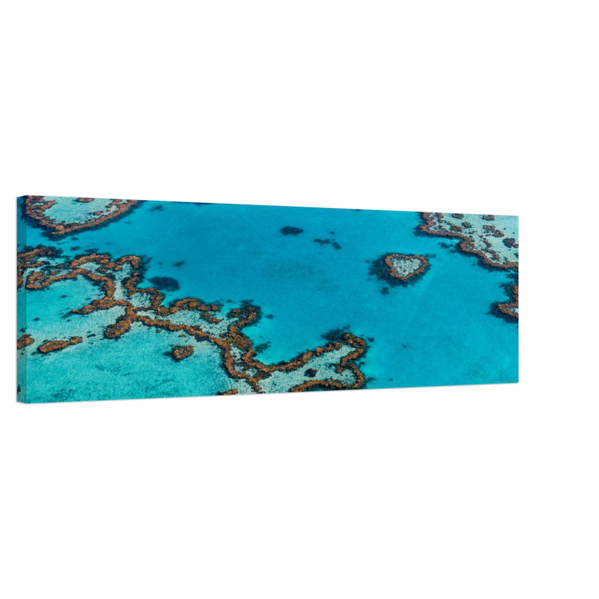 Stunning reef patterns in clear blue tropical ocean.

