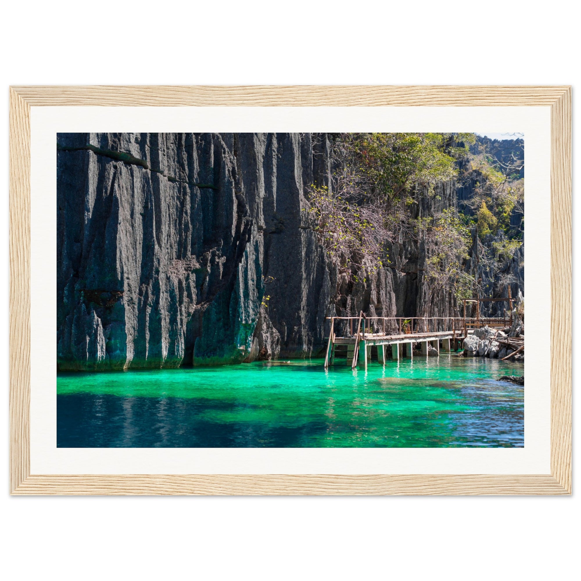 Framed landscape of lush vegetation atop rugged rock walls.

