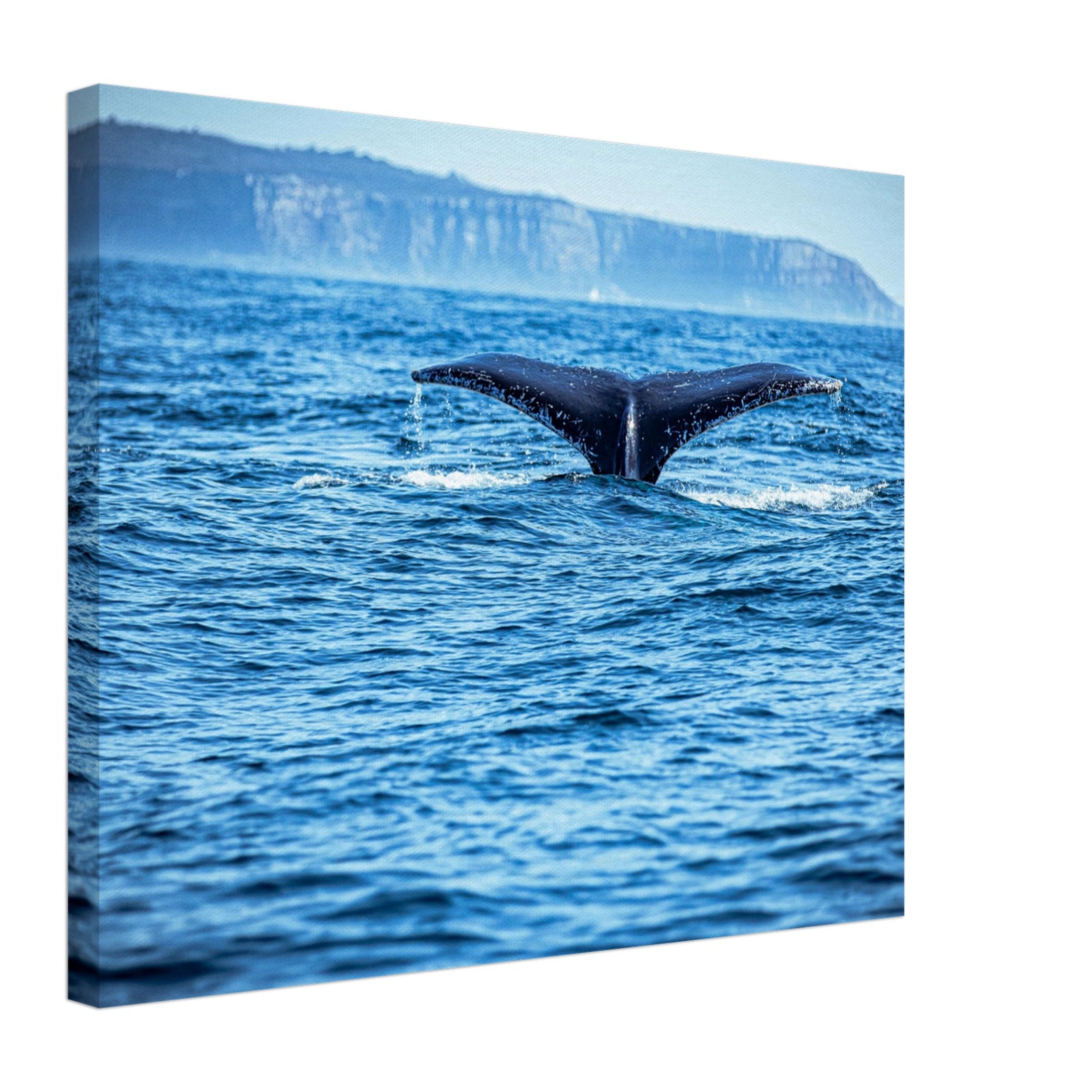Powerful whale tail emerging from the ocean

