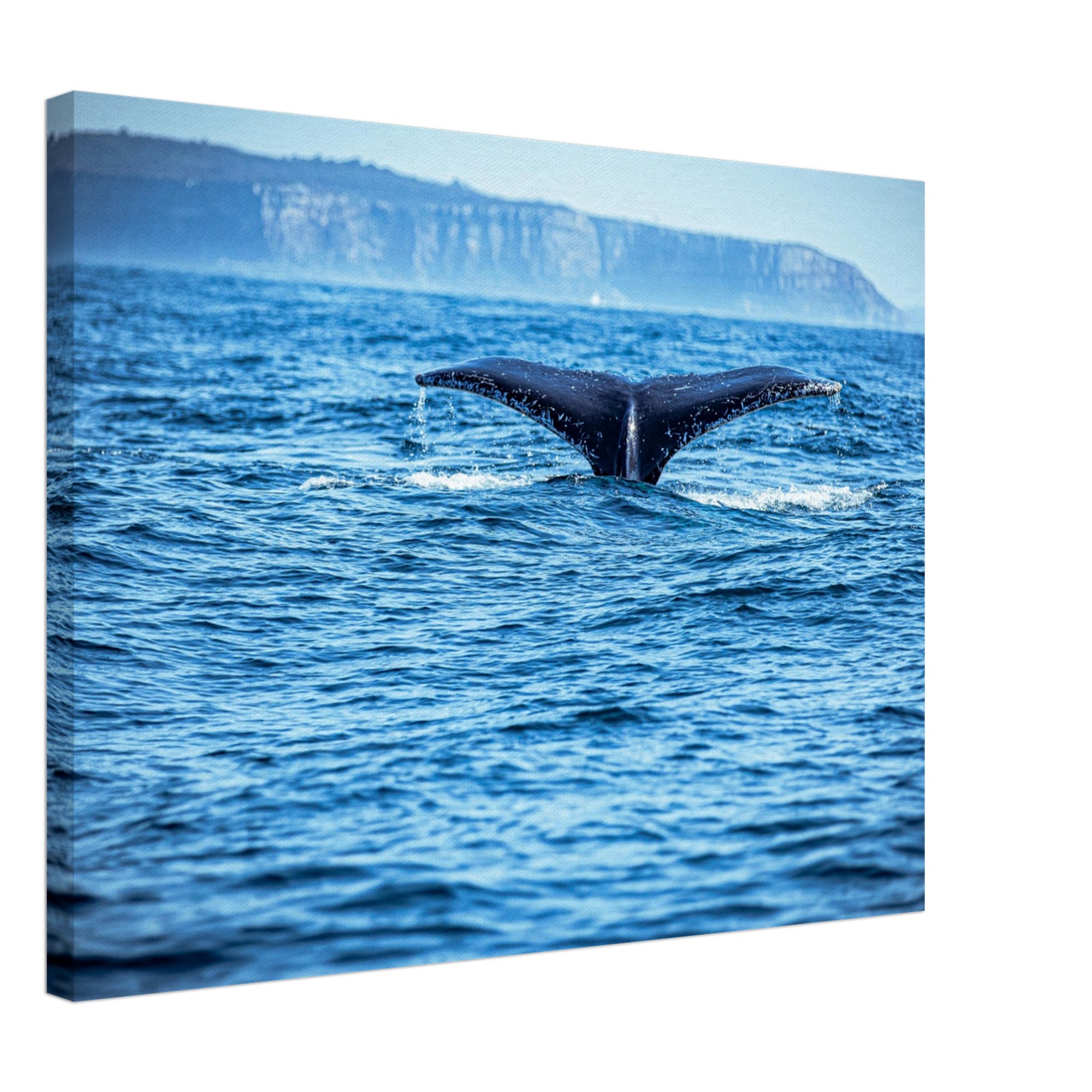Oceanic whale tail rising from deep blue water
