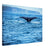 Oceanic whale tail rising from deep blue water
