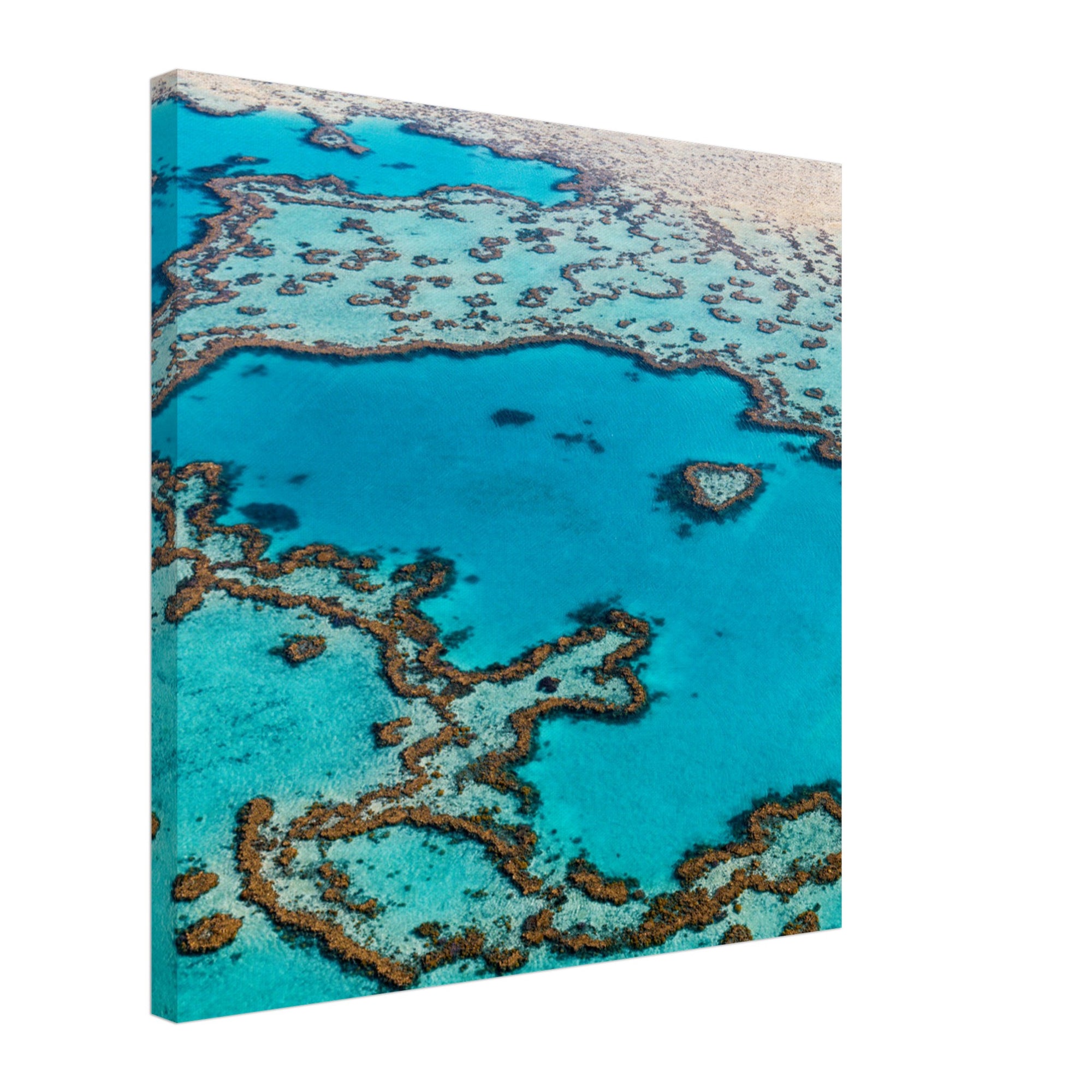 Drone shot showcasing coral reefs in vibrant blue hues.

