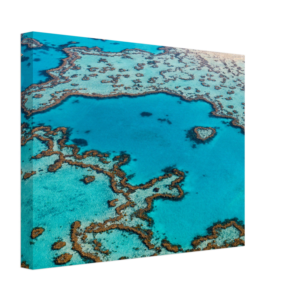 Picturesque coral reef formations in clear marine water.

