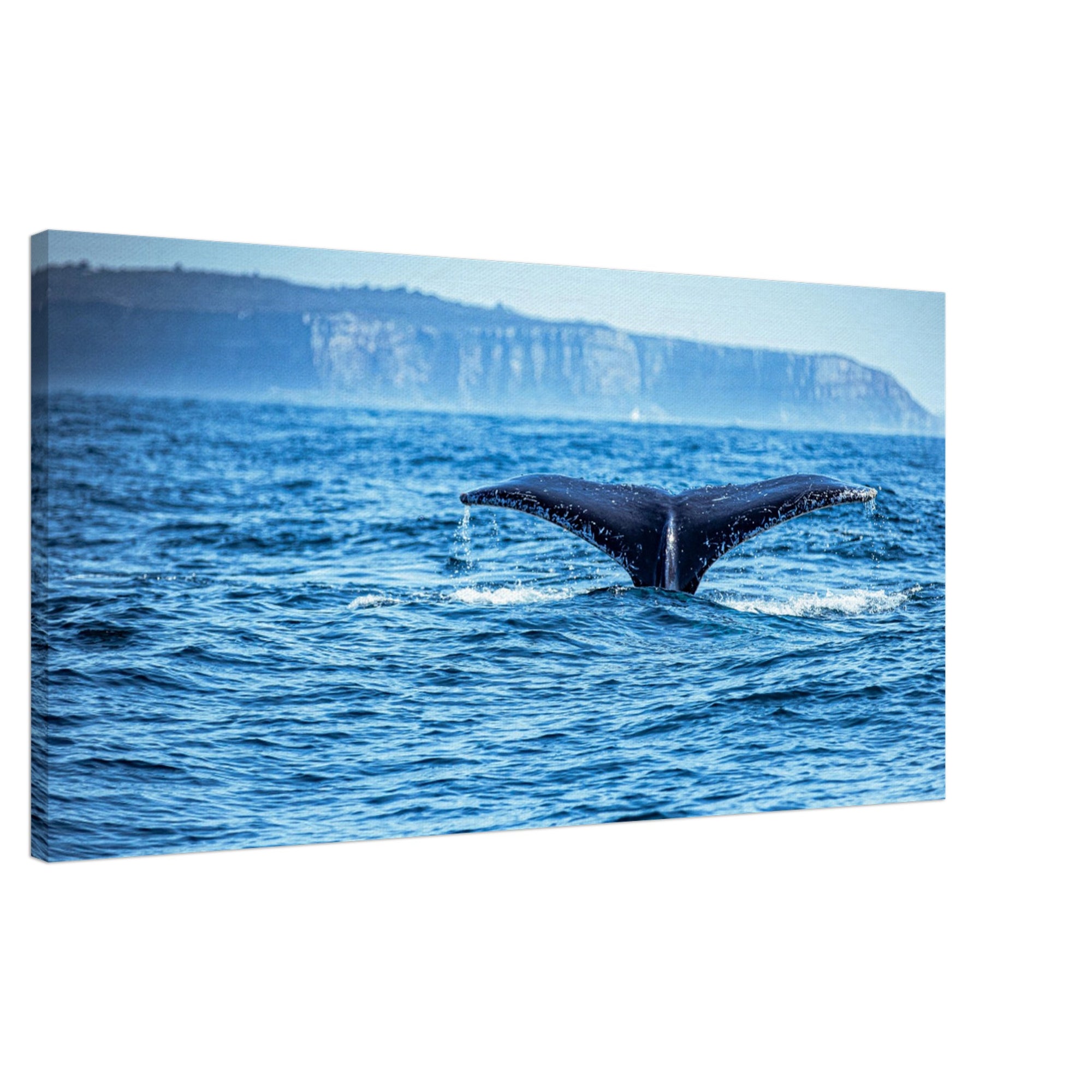 Marine wildlife scene featuring a whale tail in motion

