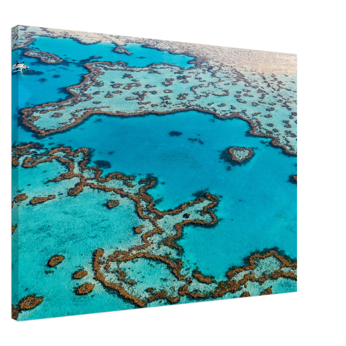 Unique coral reef designs in tropical Australian waters.

