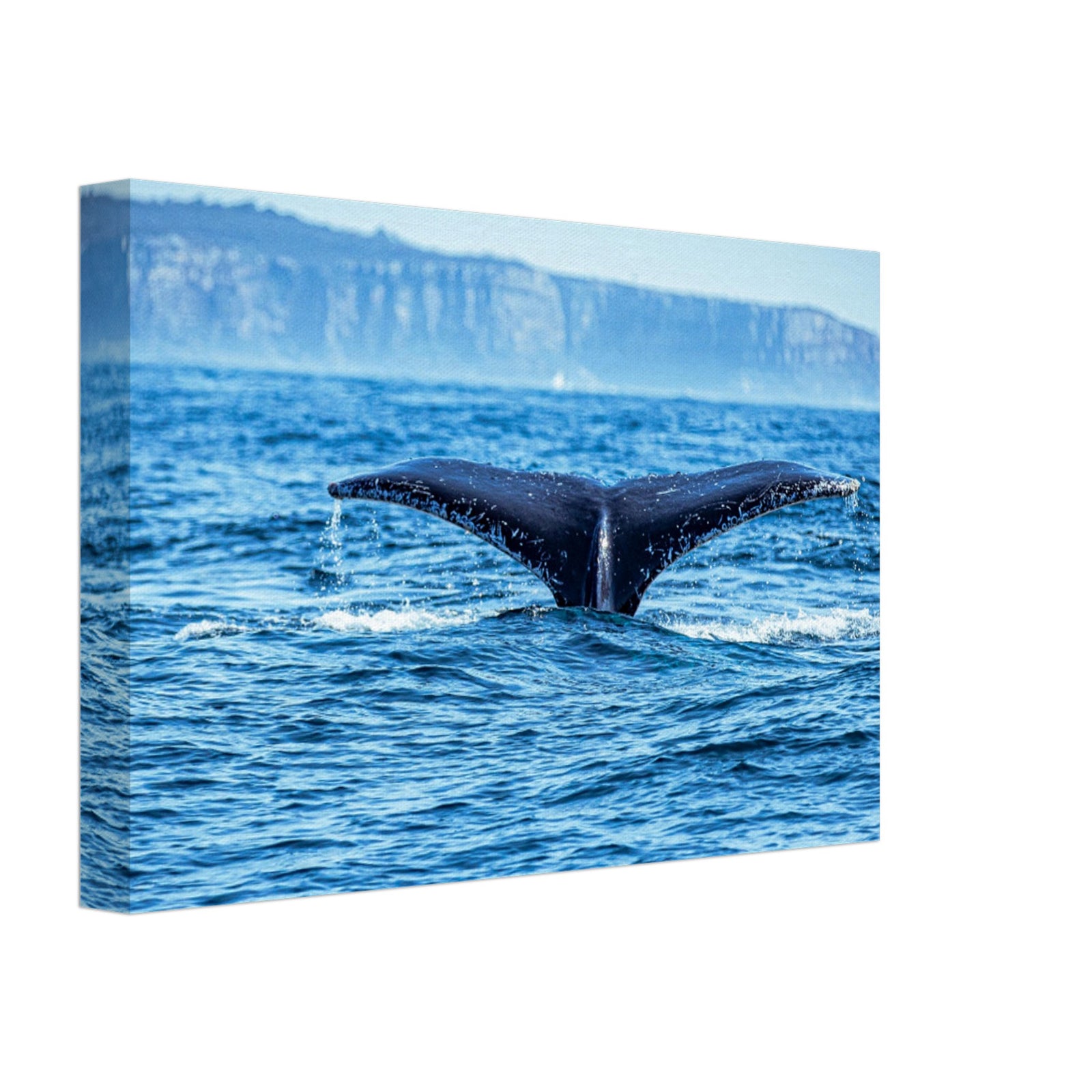 Whale tail creating ripples in clear ocean waters

