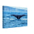 Whale tail creating ripples in clear ocean waters

