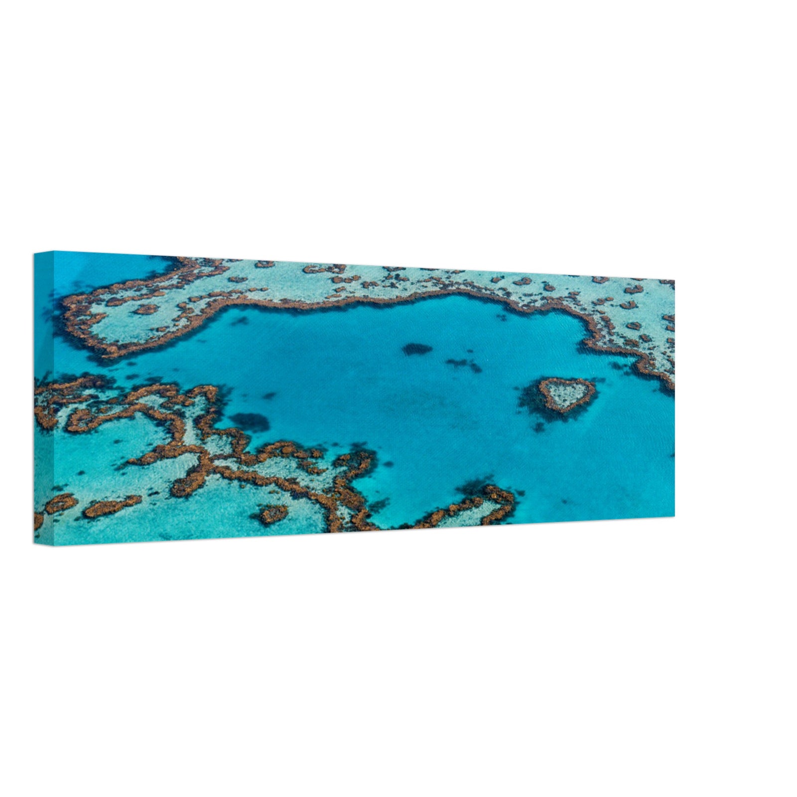 Clear ocean water highlighting coral reef geometry.

