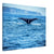 Whale tail silhouette against bright ocean water

