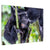 Gorilla baring teeth while in a relaxed jungle scene.


