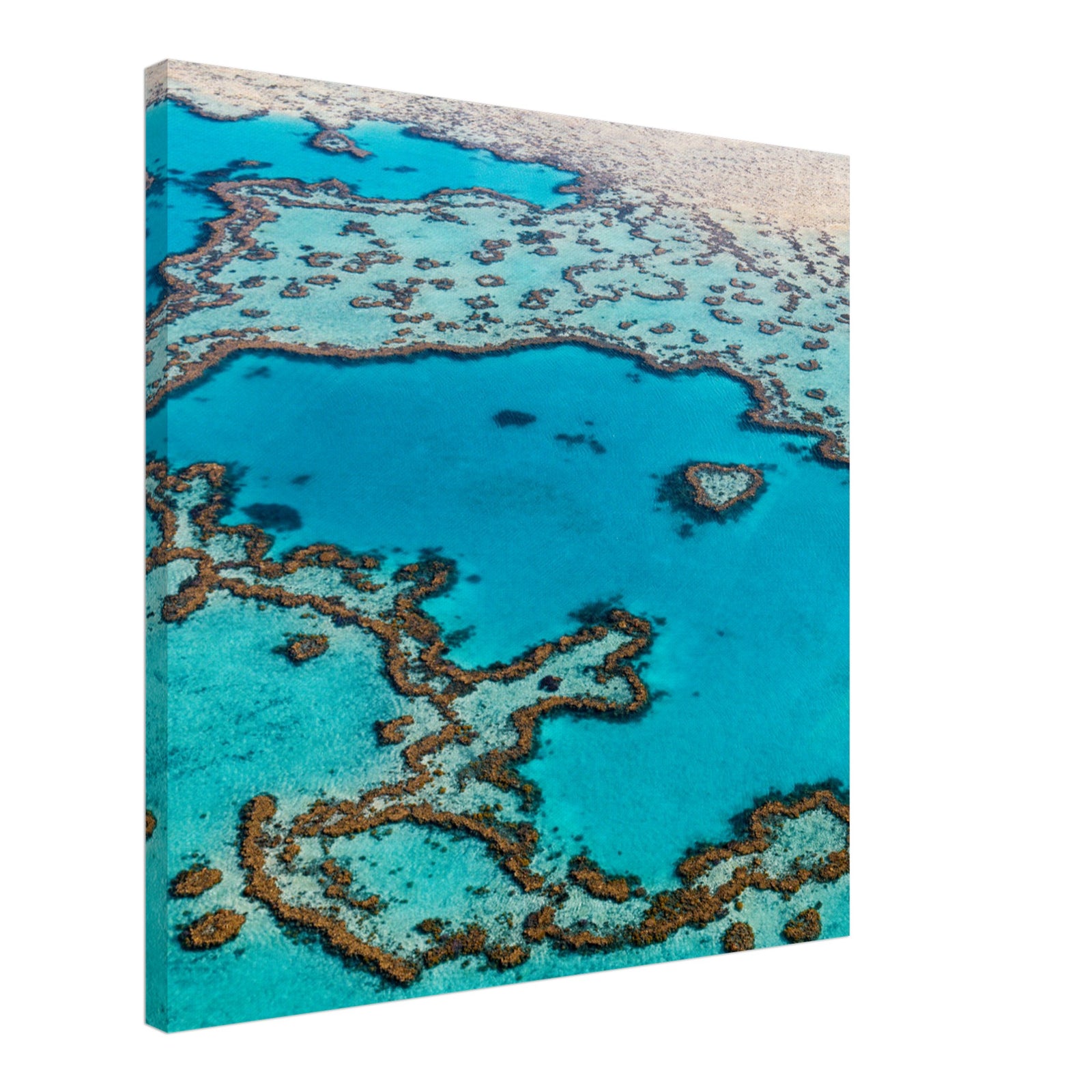 Underwater reef formations near the ocean’s surface.

