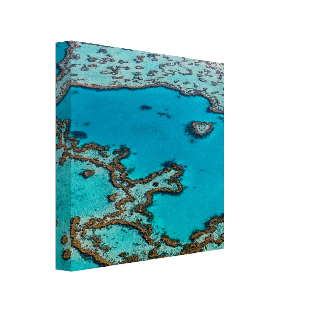 Scenic bird’s-eye view of Great Barrier Reef structure.

