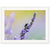 Framed floral image of pollination in action on a lavender sprig.

