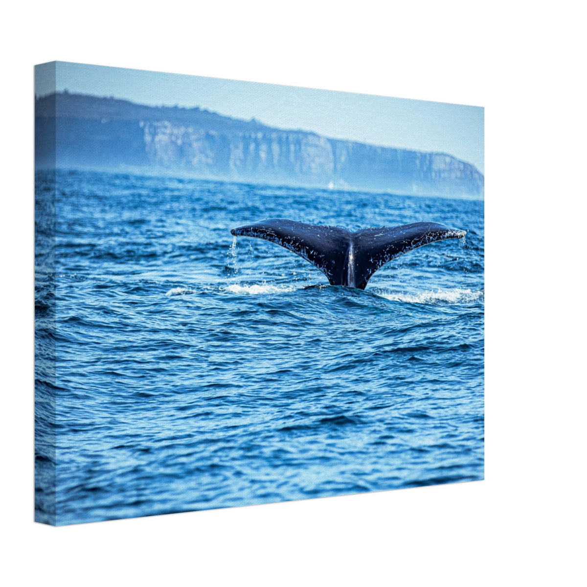 Tail fin of a whale with distant island in background

