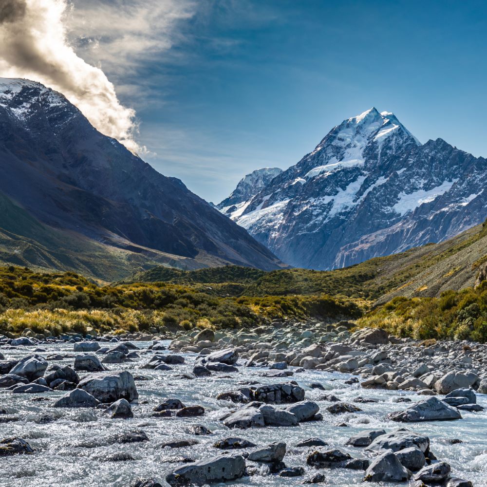 about leaping fox theme mountain