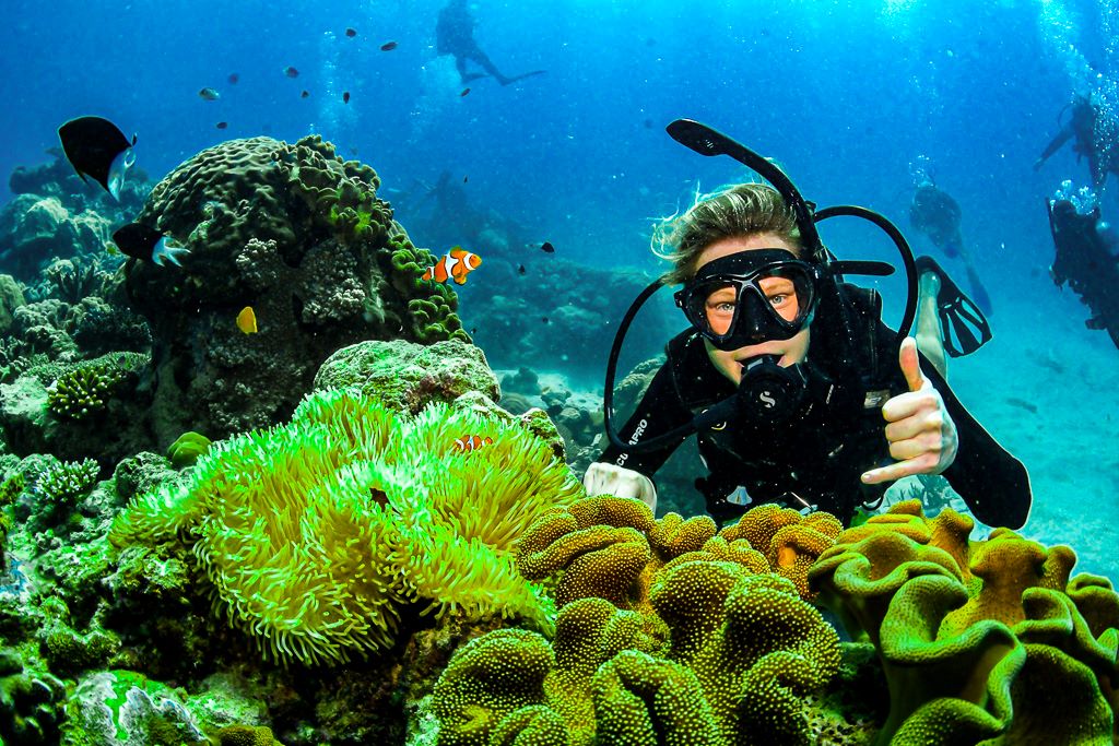 girl underwater plants