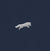 fox design white