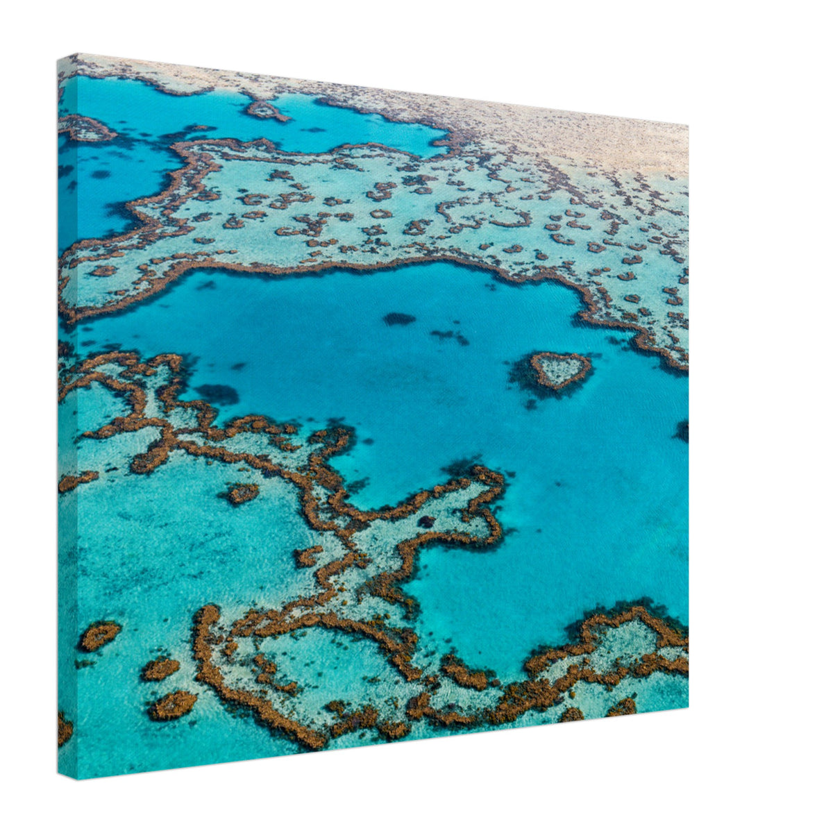 Coral reef network in crystal-clear blue waters.

