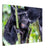 Mother gorilla and baby sharing a close playful moment.

