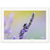 Captivating nature moment of a bee on fragrant lavender.

