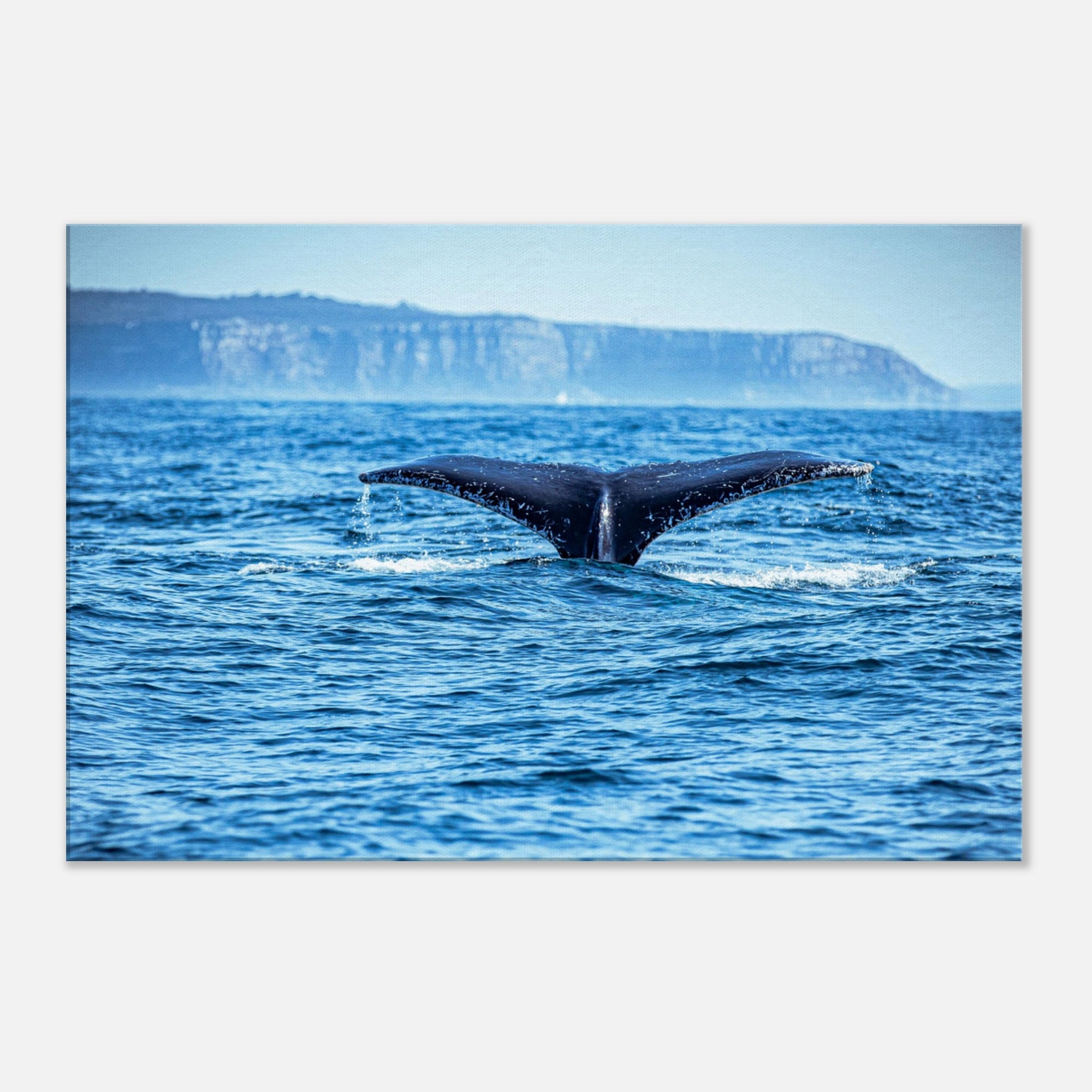Whale tail splashing in the ocean with rocky coastline in the background

