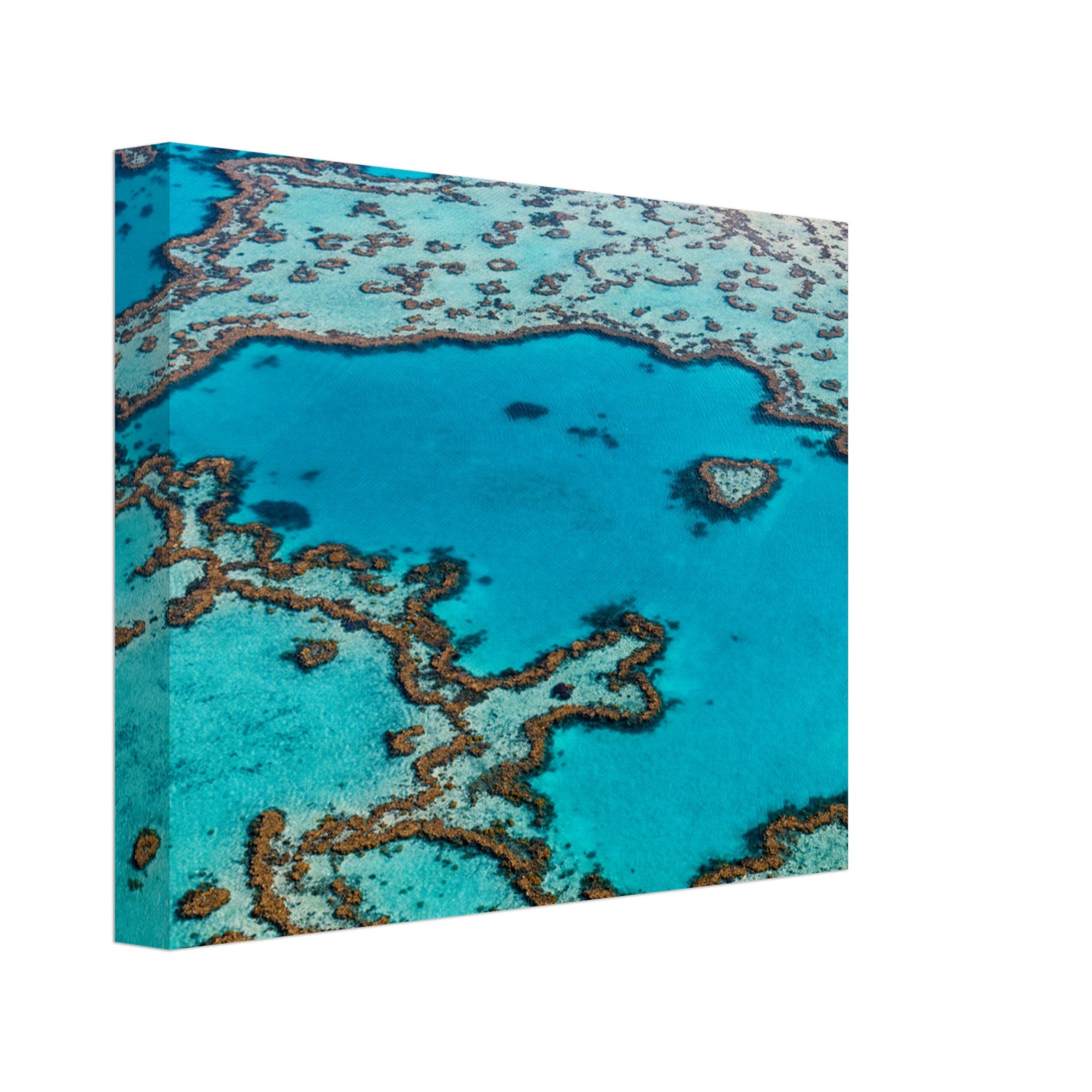 Aerial capture of vivid reef patterns in tropical waters.


