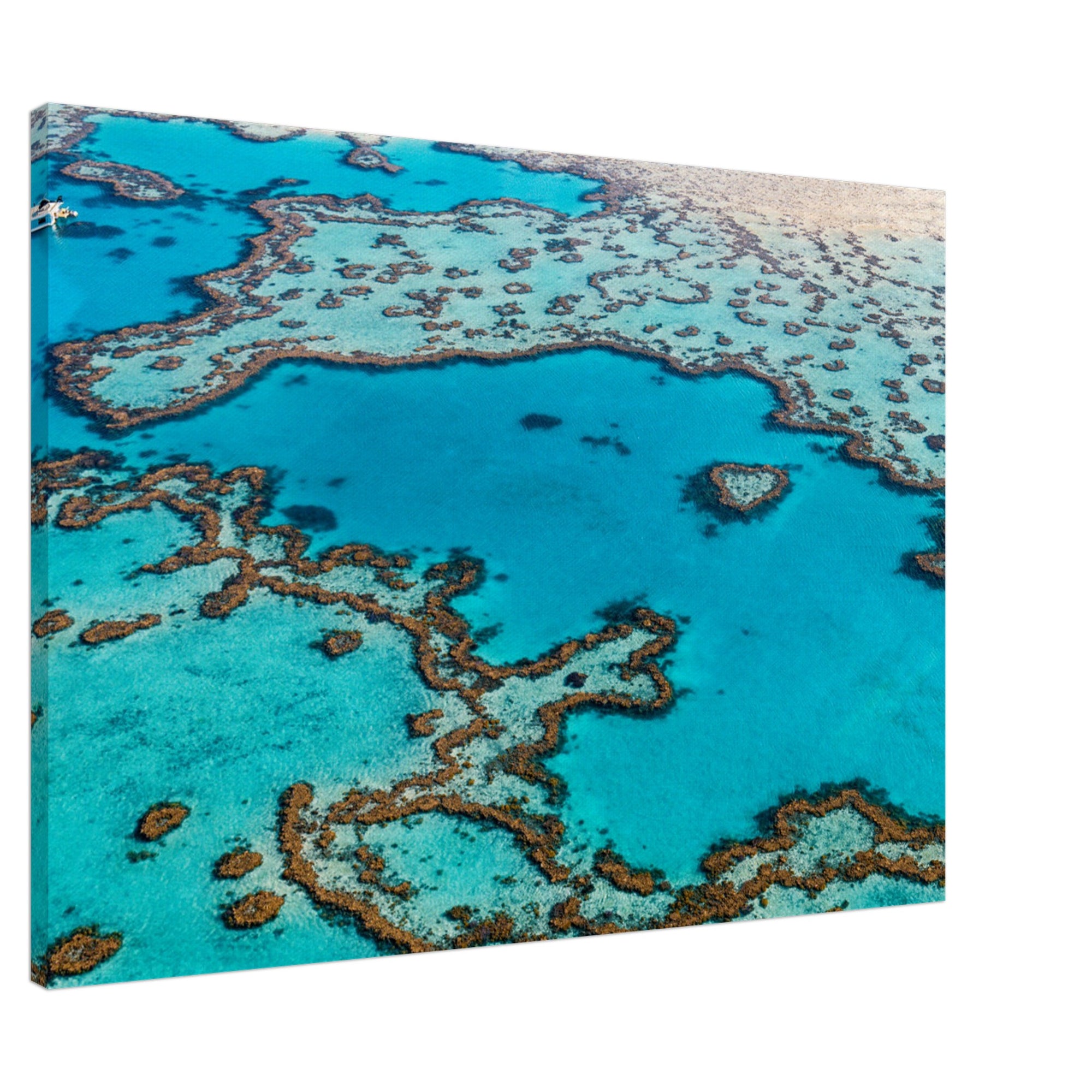 Azure sea with coral reefs forming organic shapes.

