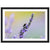 Lavender bloom with bee and colorful blurred background in frame.

