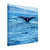 Humpback whale fluke visible above blue sea waters

