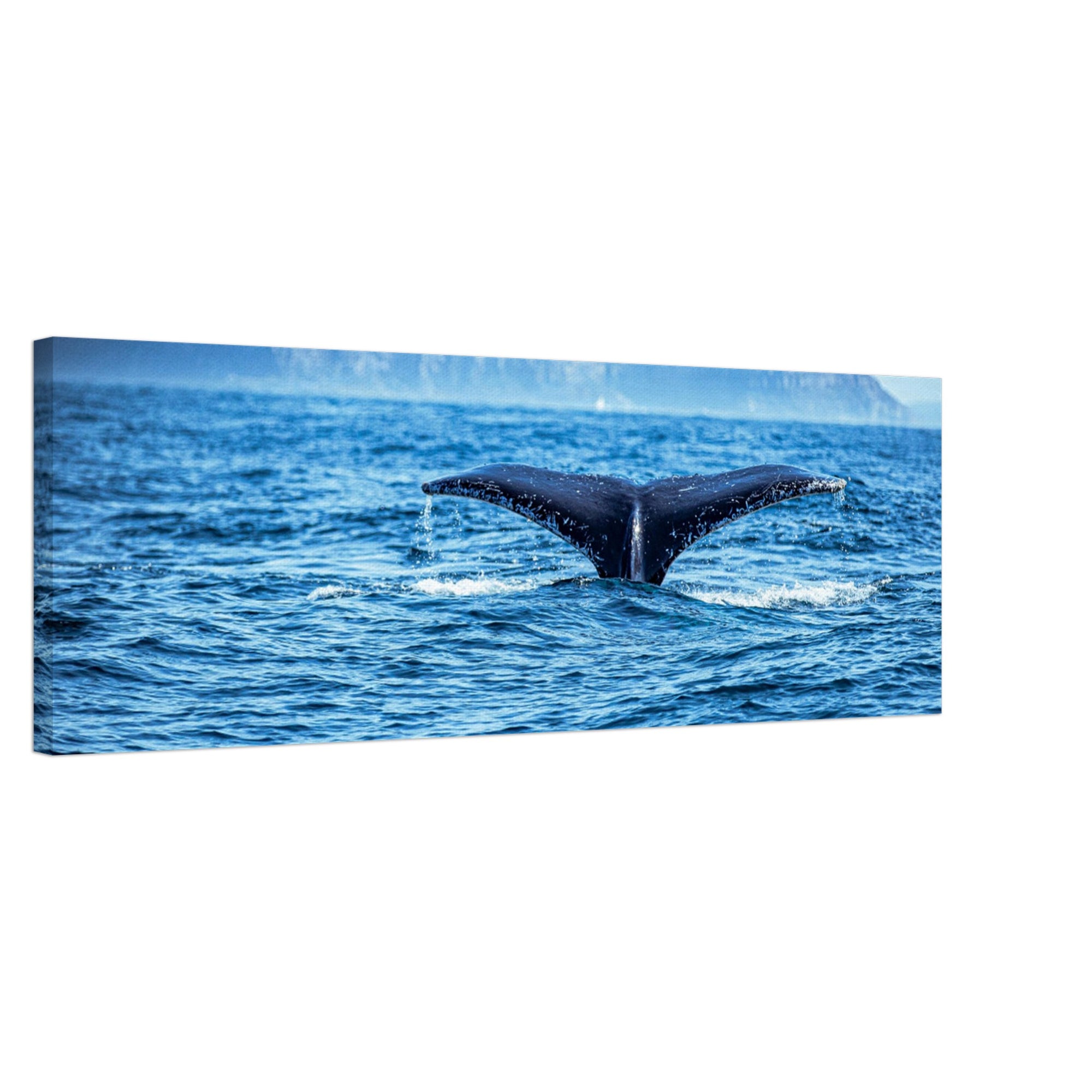 Whale submerging near rocky coast on a sunny day

