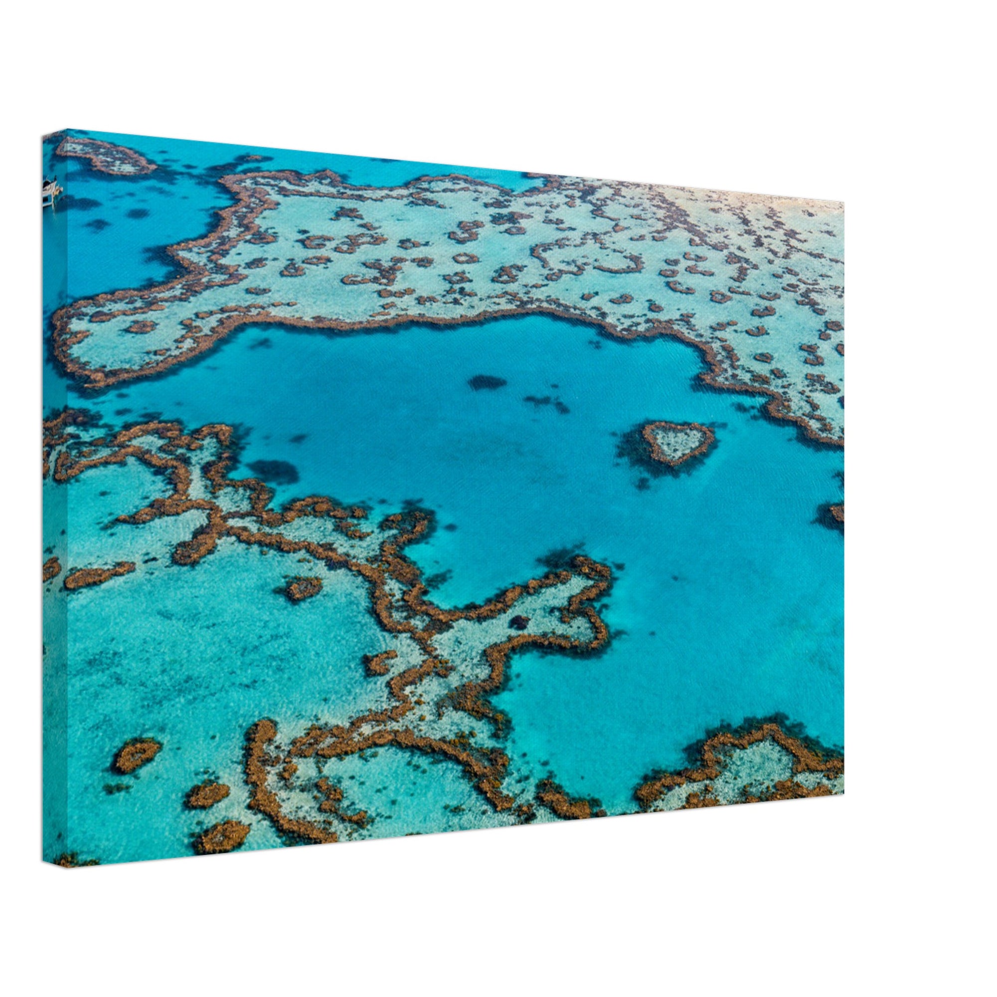 Heart-shaped coral in the middle of a blue sea.

