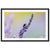 Lavender spike visited by a bee with a dreamy background.

