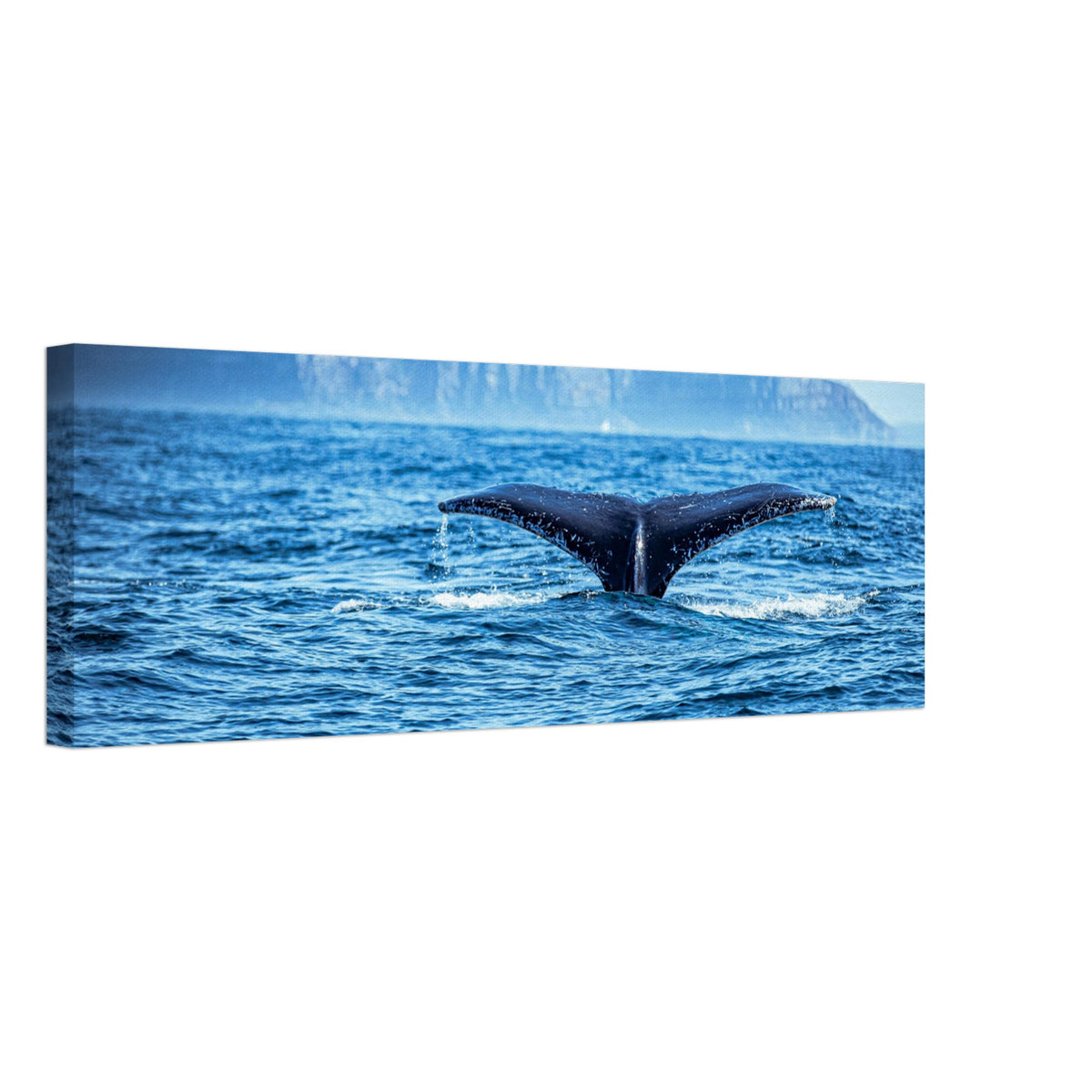 Whale disappearing into deep waters with tail above surface

