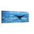 Whale disappearing into deep waters with tail above surface

