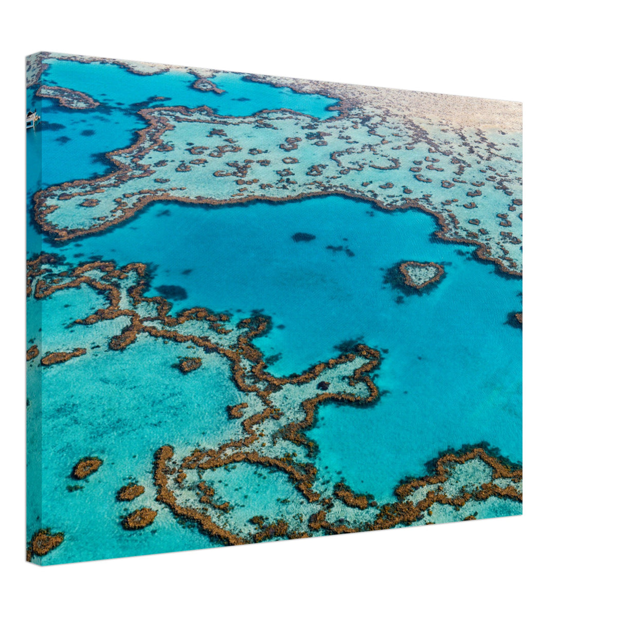 Famous heart-shaped coral seen in aerial photo.

