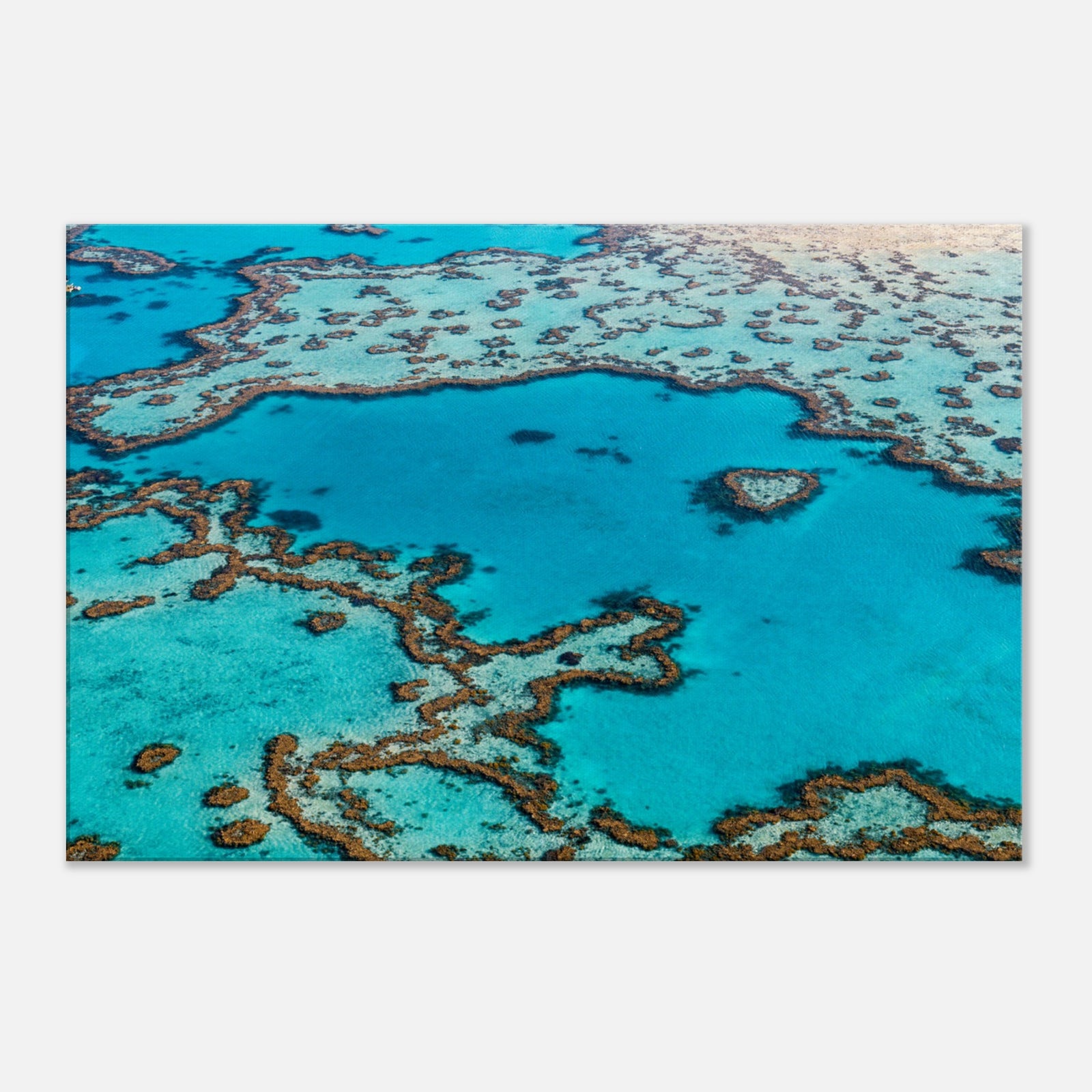 Aerial view of coral reef formations in turquoise waters.

