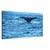 Whale fluke lifted in graceful curve above water

